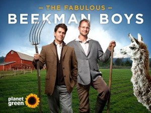 beekman1