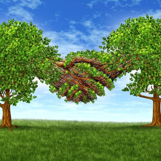 Business partnership growth success with two growing gree trees in the shape of two hands hand shaking together as a financial symbol of agreement and contract between two companies or business men.