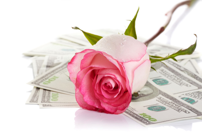 Pink rose. Pink flower. Rose and dollars. Dollars. Flowers and money. Expensive flower. Expensive gift.